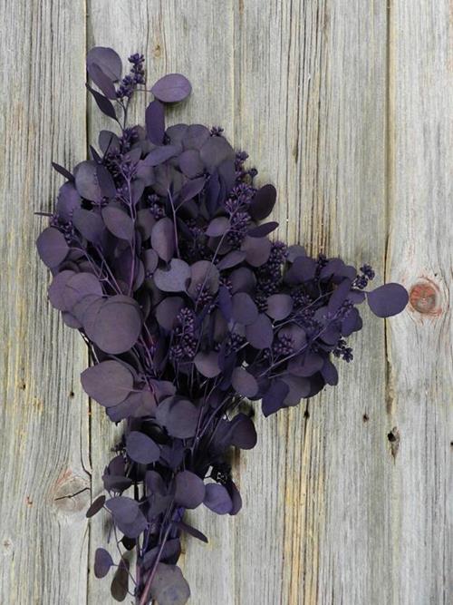 PURPLE TINTED SEEDED EUCALYPTUS